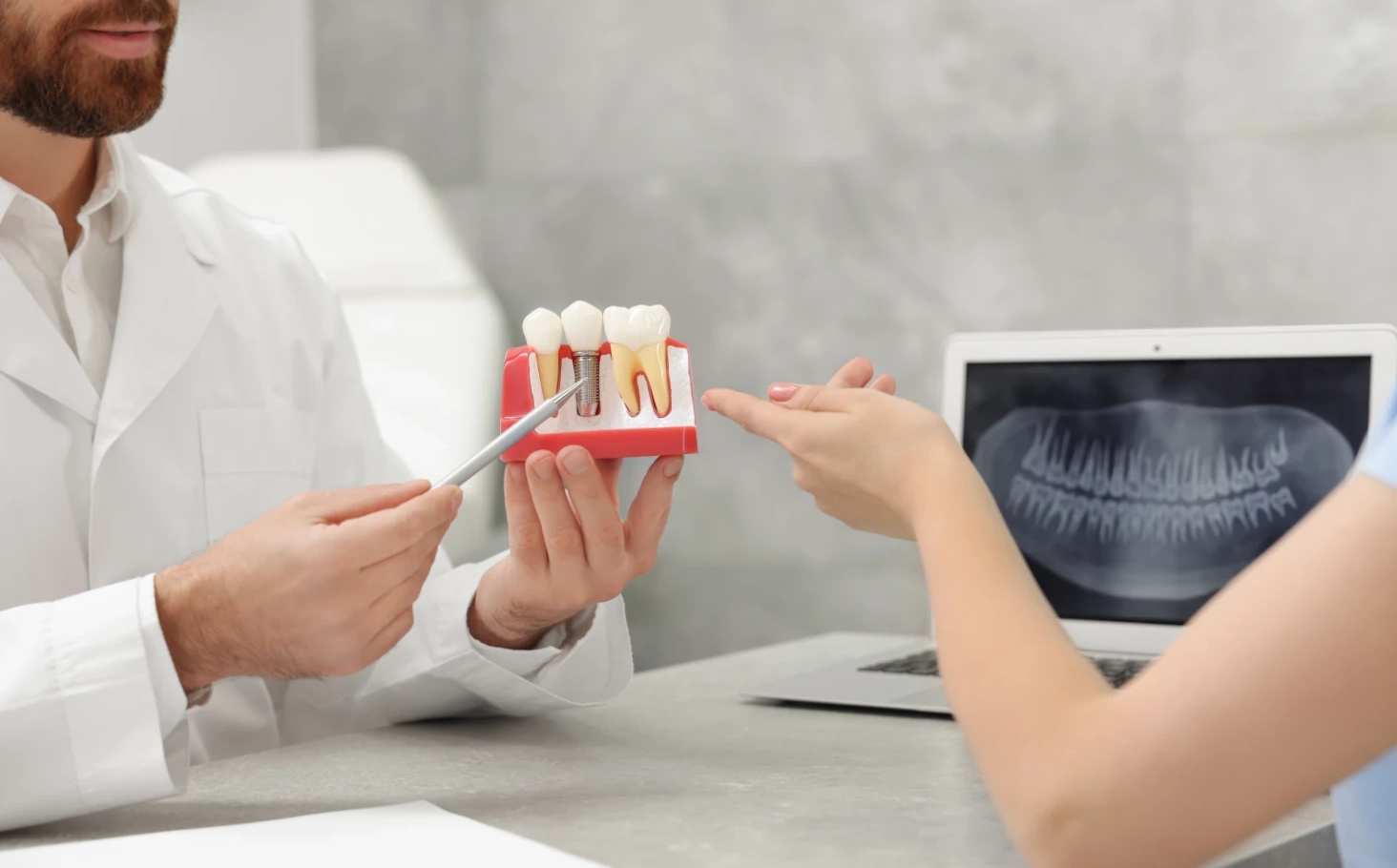 prosthodontic holding up model